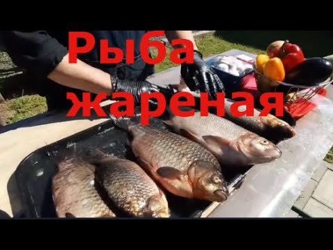 Видео: Карп, язь, лещ – фавориты во фритюре!