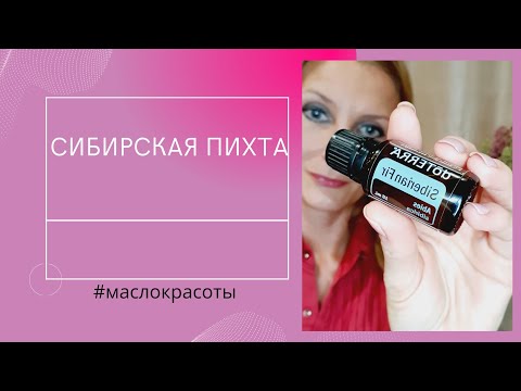 Видео: Масло пихты сибирской