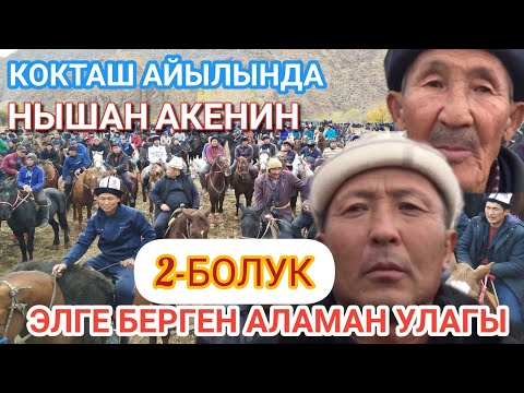 Видео: НЫШАН АКЕНИН ЭЛГЕ БЕРГЕН АЛАМАН УЛАГЫ 2- БОЛУК КОКТАШ АЙЫЛЫ!