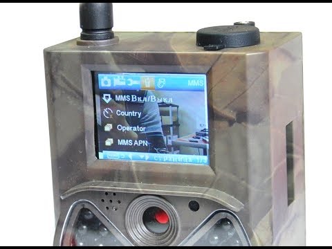 Видео: Отзыв о фотоловушке НС-300М. Первые кадры.