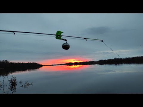 Видео: Рыбалка с ночёвкой и палаткой. Река Свирь.