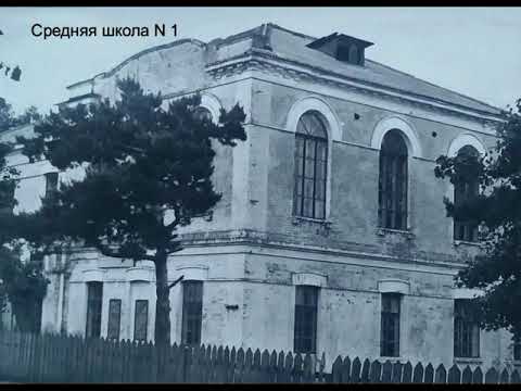 Видео: Петриков