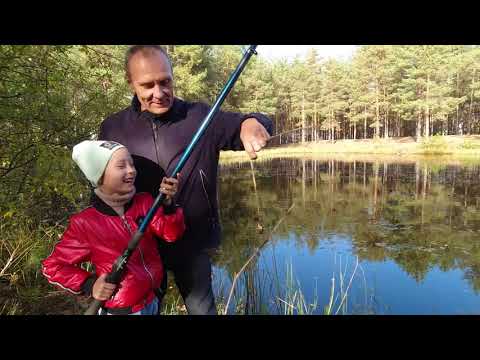 Видео: Ловим на Пруду