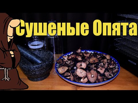 Видео: Сушеные грибы Опята в дегидраторе  в домашних условиях