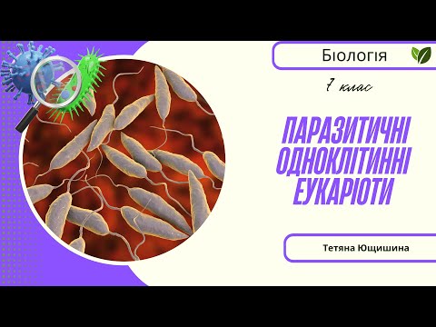 Видео: Урок 72. Паразитичні одноклітинні еукаріоти. 7 клас. НУШ