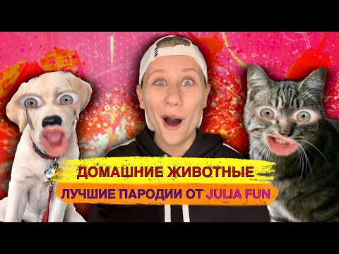 Видео: Домашние Животные! Лучшие Пародии