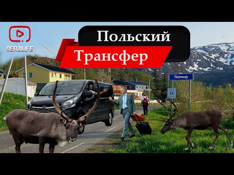Видео: Поляки удивили Мощной Рыбалкой! Рыболовная база AMBERFISH - Треска, Палтус / Рекордный улов года!