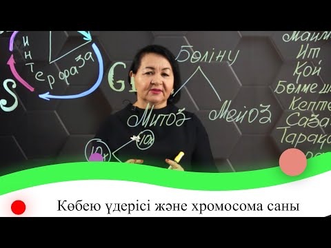 Видео: Көбею үдерісі және хромосома саны. 7 сынып.