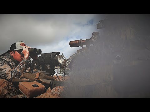 Видео: Успех открытия — самостоятельная съёмка одиночной охоты | Сезон охоты на чернохвостого оленя 2025