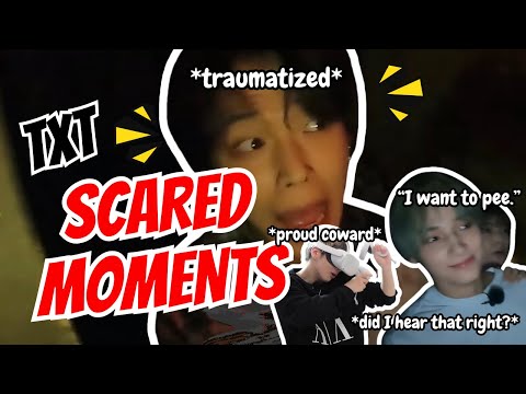 Видео: TXT — это куча ПУГАЮЩИХ КОТОВ