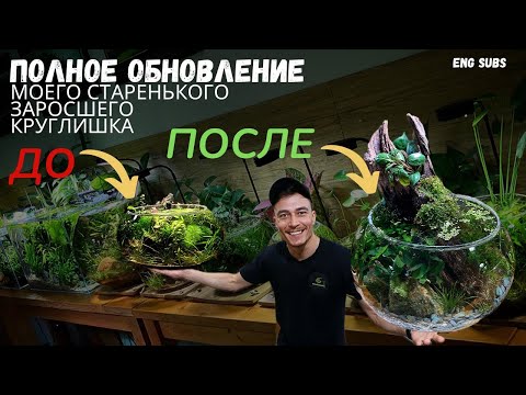 Видео: ПОЛНОЕ ОБНОВЛЕНИЕ МОЕГО СТАРЕНЬКОГО КРУГЛОГО АКВАРИУМА | FULL UPDATE OF MY OLD NANO BOWL AQUARIUM