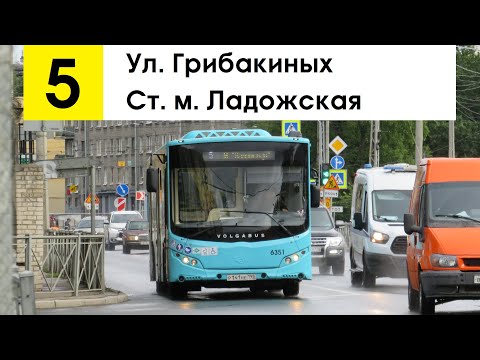 Видео: Автобус 5 "Ул. Грибакиных - ст. м. "Ладожская"