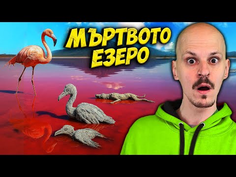 Видео: 11 Места, Които Ще Те УБИЯТ, ако Отидеш