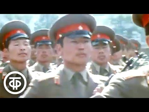 Видео: Халхин-Гол. Документальный фильм (1978)