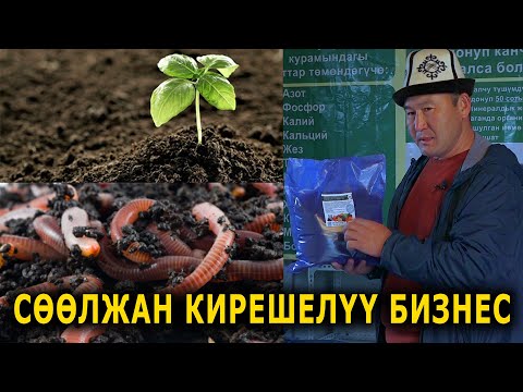 Видео: СӨӨЛЖАН багып БИОГУМУС ӨНДҮРҮҮНҮН сырлары