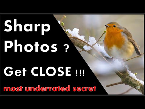 Видео: Неизвестный фактор для четких фотографий птиц, 8 секретов, как приблизиться к птицам.