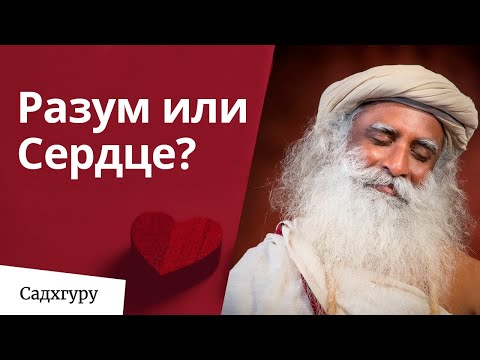 Видео: Разум или сердце — что слушать?
