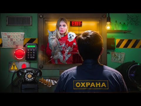Видео: ЭТО НЕ МОЙ СОСЕД В РЕАЛЬНОЙ ЖИЗНИ С КОТОМ И СОБАКОЙ