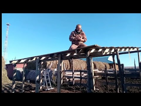Видео: Строим навес для быков/Марусины приключения