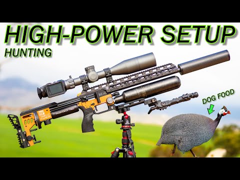 Видео: FX Impact M4 | Высокомощная установка | Ствол 800 мм | Поражает как DDP | ​​Пули 34 гран | Борьба...