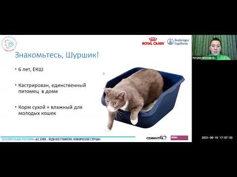 Видео: Клинический случай доктора Прокофьевой Н.И. 10 июня