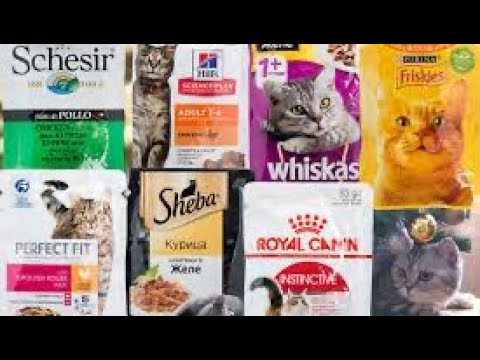 Видео: Влажные корма.