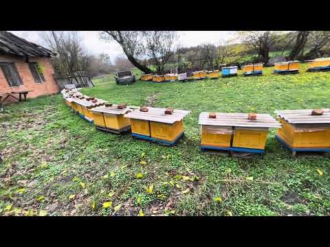 Видео: 1 рамочні відводки !!!