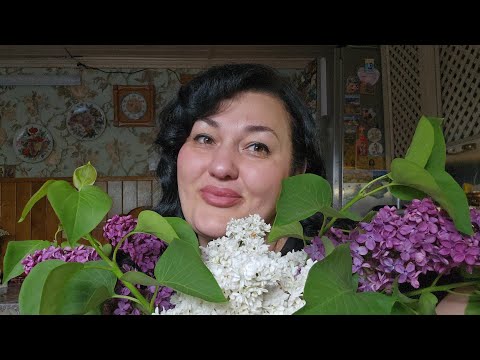Видео: Мой День Рождения💐