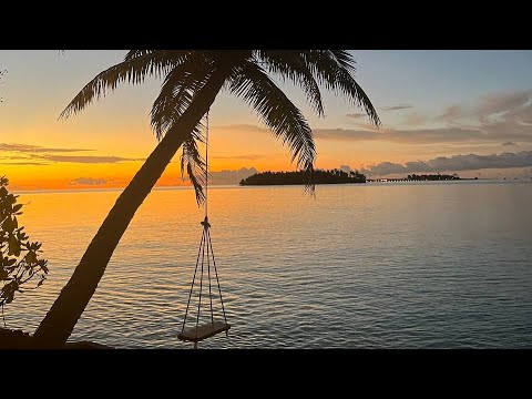 Видео: VLOG. RAKEEDHOO ISLAND. MALDIVES. Остров Ракиду. Март 2025.