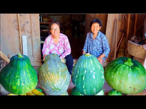 Видео: Массивный урожай тыквы | Аппетитный тыквенный праздник | Традиционная сельская жизнь