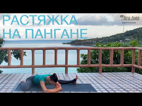 Видео: ВЕЧЕРНИЙ КОМПЛЕКС "РАСТЯЖКА НА ПАНГАНЕ". РАСКРЫТИЕ ТАЗОБЕДРЕННОГО СУСТАВА