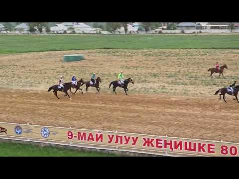 Видео: Жорго Салыш 09 05 2025