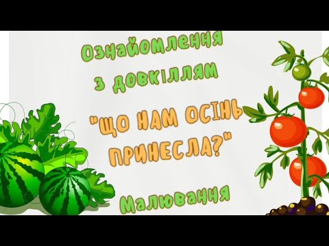 Видео: "Що нам осінь принесла?"Ознайомлення з довкіллям і малювання в середній групі.