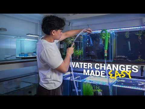 Видео: Смена воды заняла целую вечность… но это изменило всё.