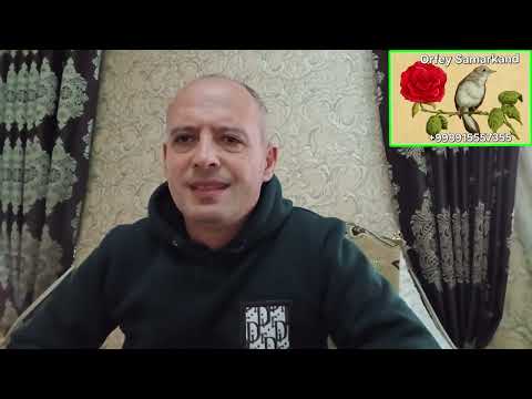 Видео: Канарейка бокиш сирлари,хамма куш ишкибози билиши шарт!