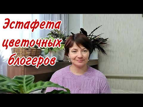 Видео: 🌿Знакомимся/Приняла эстафету и передаю дальше🌿