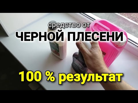 Видео: Средство от чёрной плесени. Даже на обоях 100% результат.