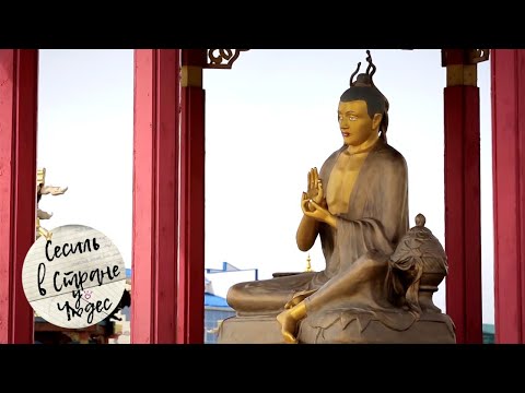 Видео: Сесиль в стране чудес. Калмыкия 🌏 Моя Планета