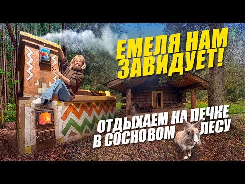 Видео: ЕМЕЛЯ НАМ ЗАВИДУЕТ! Отдых на печке в сосновом лесу 