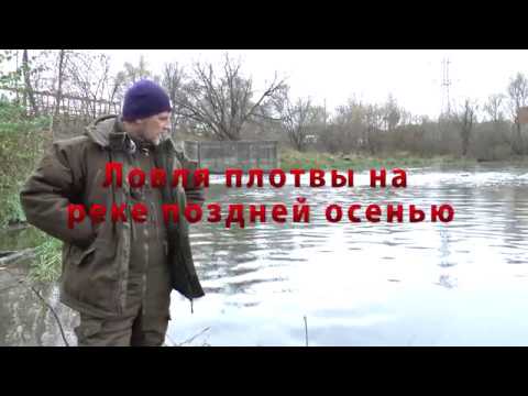 Видео: Ловля плотвы на реке поздней осенью