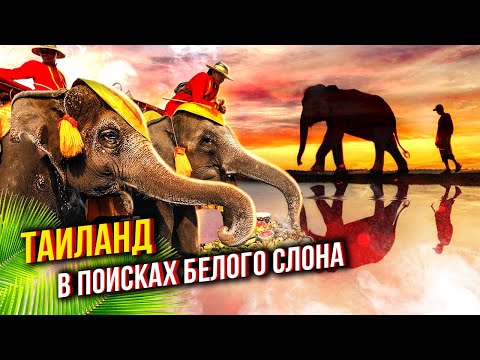 Видео: Таиланд. В поисках белого слона
