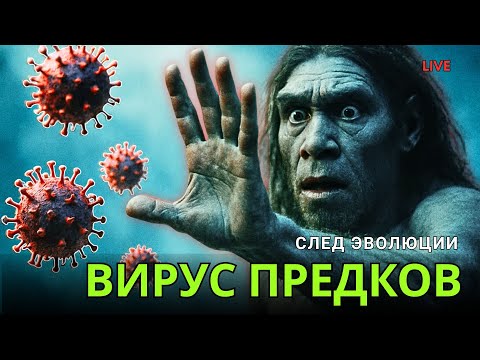 Видео: 🧬 Что скрывает ЭВОЛЮЦИЯ человека? Древние люди, ВИРУСЫ и тайны ДНК