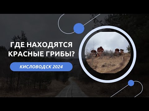 Видео: КИСЛОВОДСК 2024/КУРОРТНЫЙ ПАРК/ВЛОГ 19.02.24