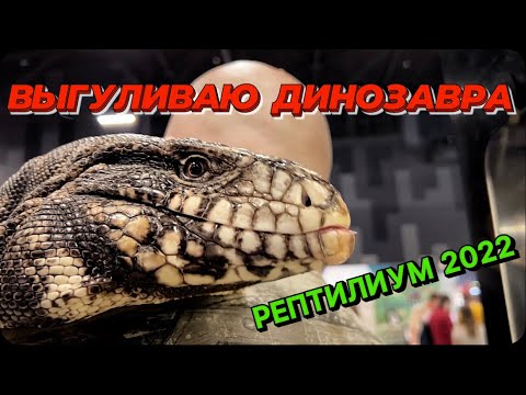 Видео: REPTILIUM 2022 / РЕПТИЛИУМ МОСКВА. ВЫГУЛИВАЮ ДИНОЗАВРА !!! САМЫЕ БОЛЬШИЕ ЗМЕИ.  EkzoMania
