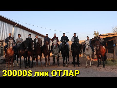 Видео: ОТ ИШҚИБОЗЛАРИ УЧУН МАХСУС ВИДЕО