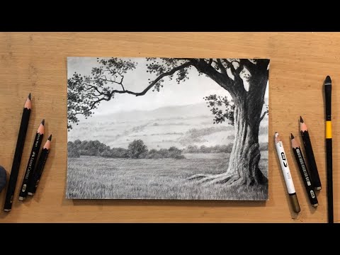 Видео: Рисунок пейзажа графитом — ветки деревьев