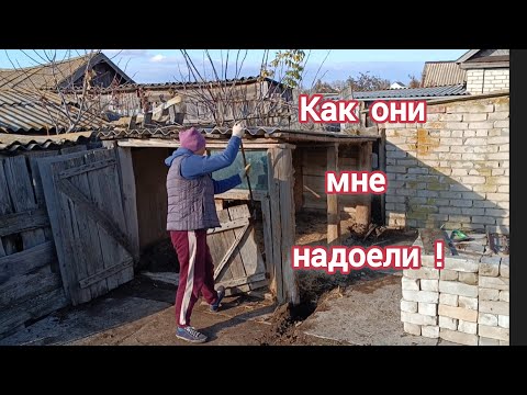 Видео: Раздвоилась 😂. Поделилась с соседом капустой, ломаю сараи. 
