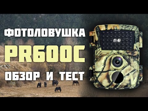 Видео: Фотоловушка PR600C. Обзор и тест.