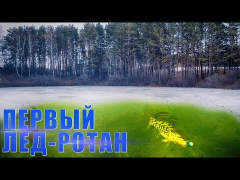 Видео: На что ловить РОТАНА? Первый лёд 2021-2022. Реакция рыбы на разные приманки.