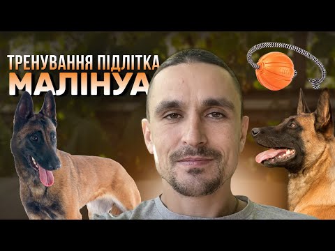 Видео: Треннування підлітка малінуа